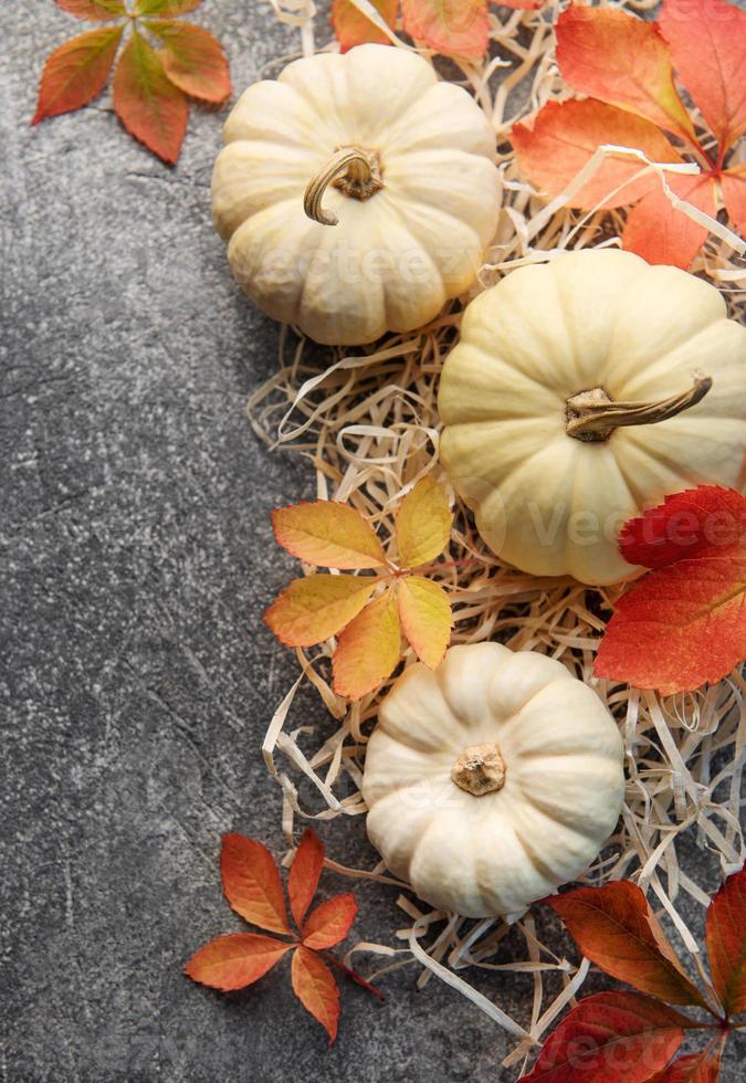 Herbstlaub und Kürbisse auf grauem Betonhintergrund foto