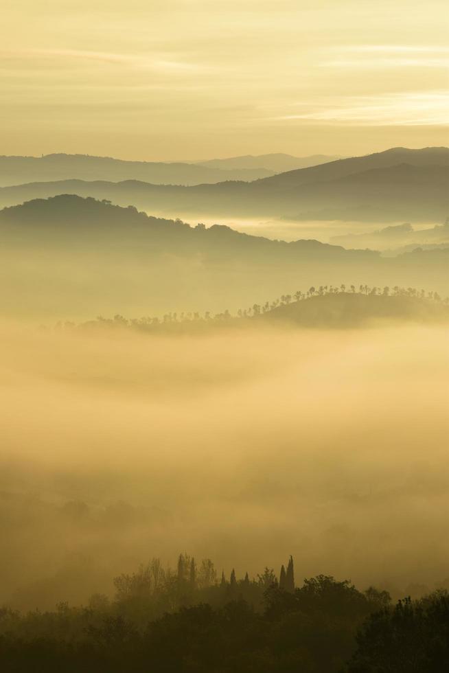 Bäume und Hügel umgeben von Nebel unter dunstigen Wolken foto