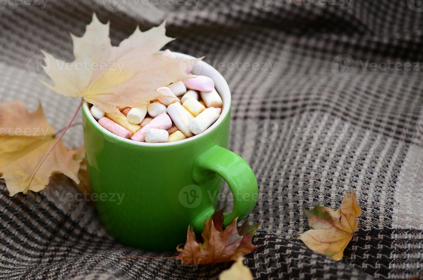 herbstblätter und heißer dampfender kaffee liegen auf kariertem plaid im freien foto