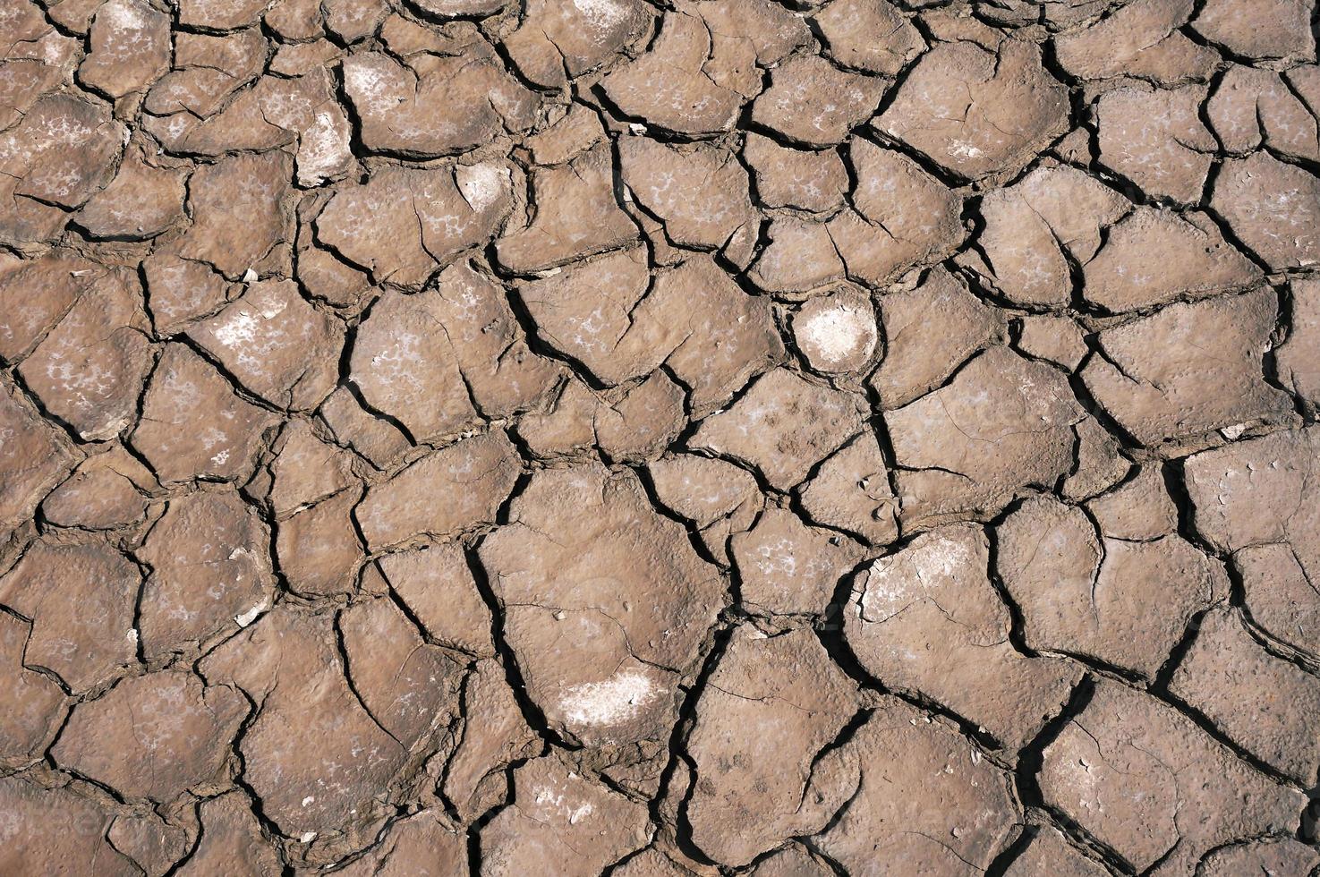 getrocknete rissige erde bodentextur hintergrund. Mosaikmuster aus sonnigem, getrocknetem Erdboden foto