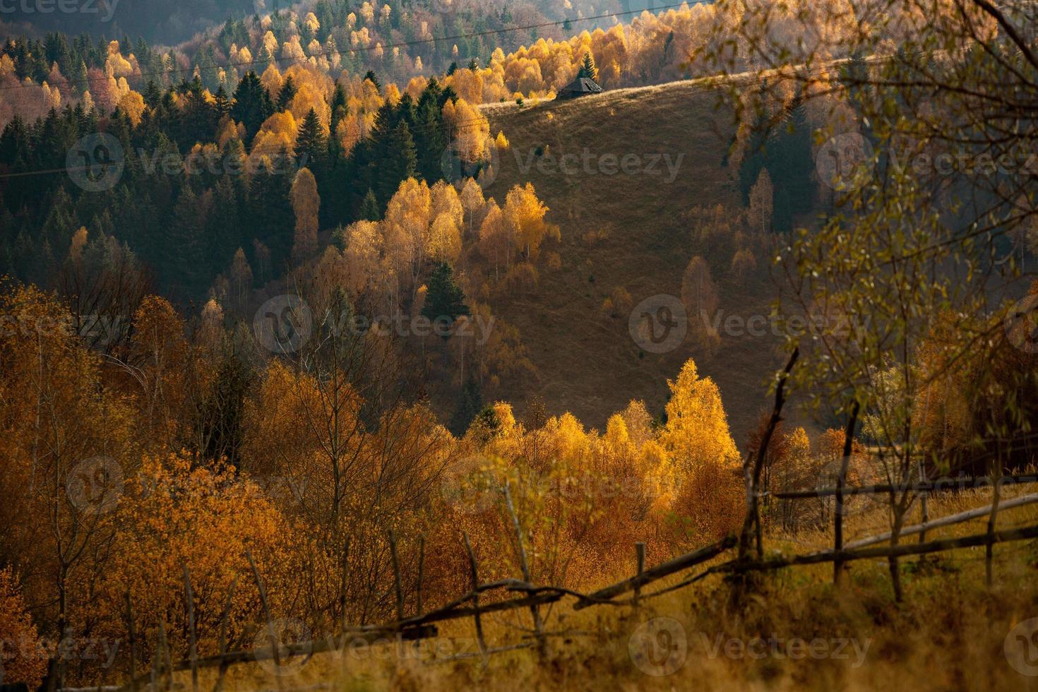 eine bezaubernde berglandschaft in den karpaten, rumänien. Herbstnatur in Brasov, Europa foto