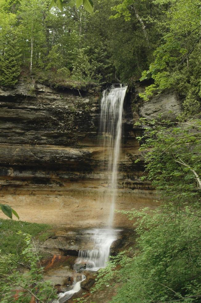 Wasserfall in einem Wald foto