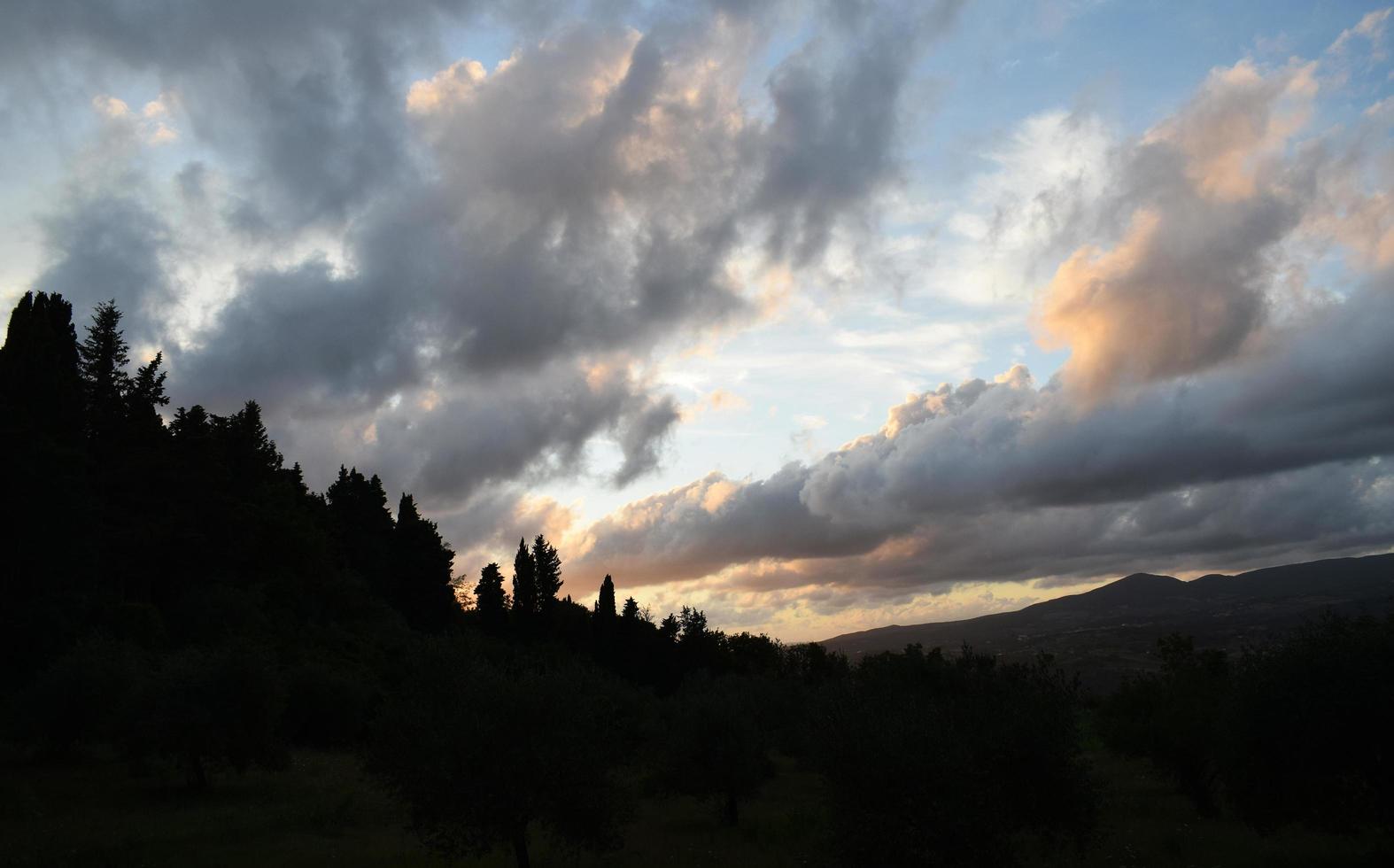 Silhouettierte Bäume unter weißen Wolken und blauem Himmel während des Tages foto