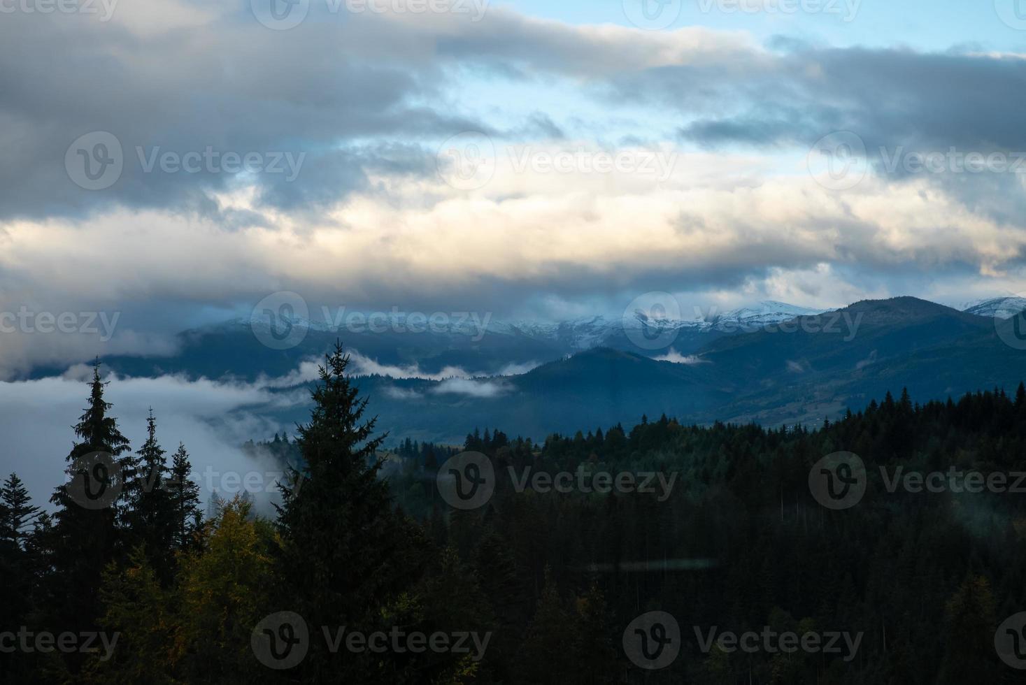 nadelwald und berge landschaft reise ruhige landschaft foto