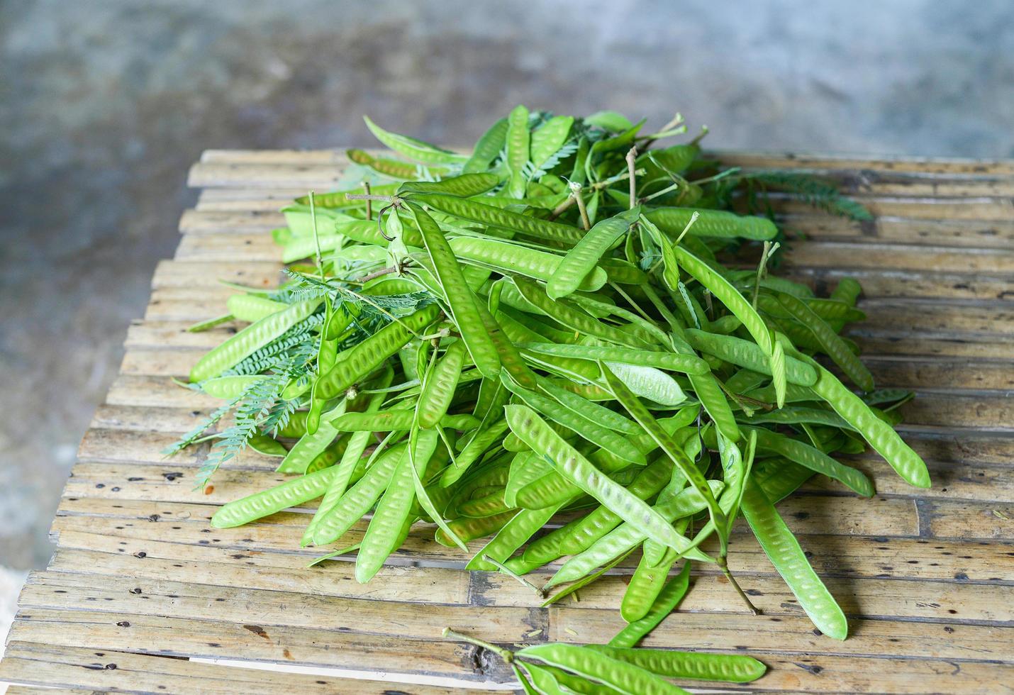 frucht von leucaena leucocepphala samen für lebensmittel in asien weißer popinac foto