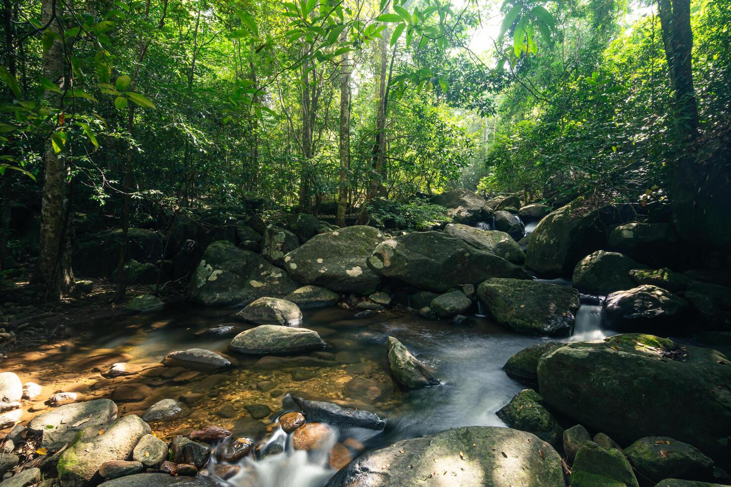 natürliche landschaft an den khlong pla kang wasserfällen foto