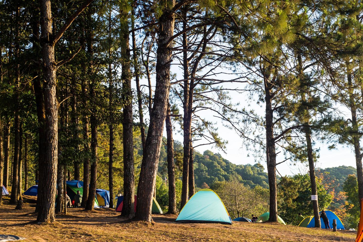 campingplatz in doi ang khang chiang mai thailand sonnenaufgang beobachten foto