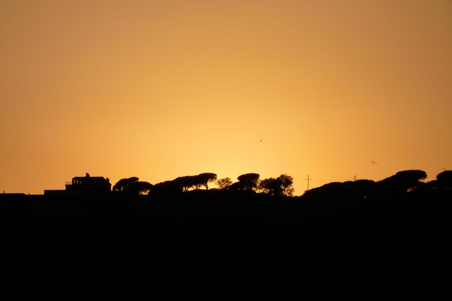 hinterleuchtete Landschaft in einem Sonnenuntergang foto