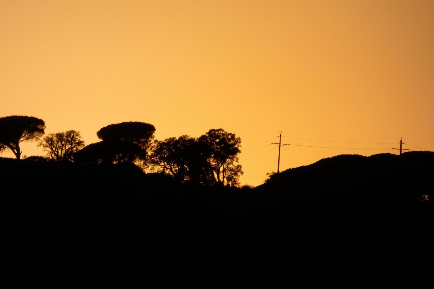 hinterleuchtete Landschaft in einem Sonnenuntergang foto