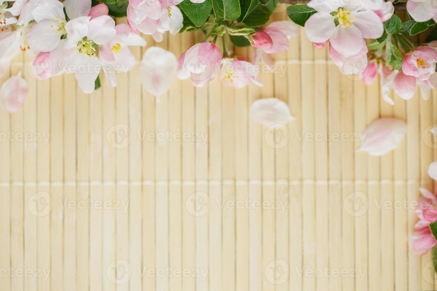 rahmen von frühlingsblumen von sakura auf bambushintergrund. schöne kirschblüte sakura im frühling foto