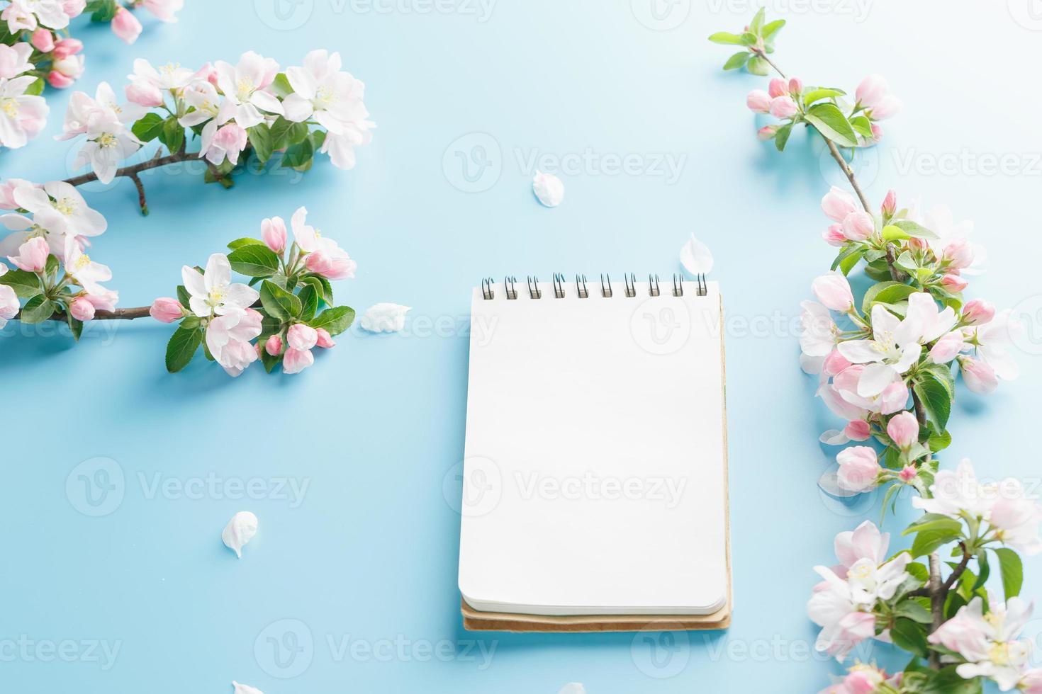 Blühende Frühlings-Sakura auf blauem Hintergrund mit Notizblock-Platz für eine Grußbotschaft. das konzept von frühling und muttertag. schöne zarte rosa kirschblüten im frühling foto