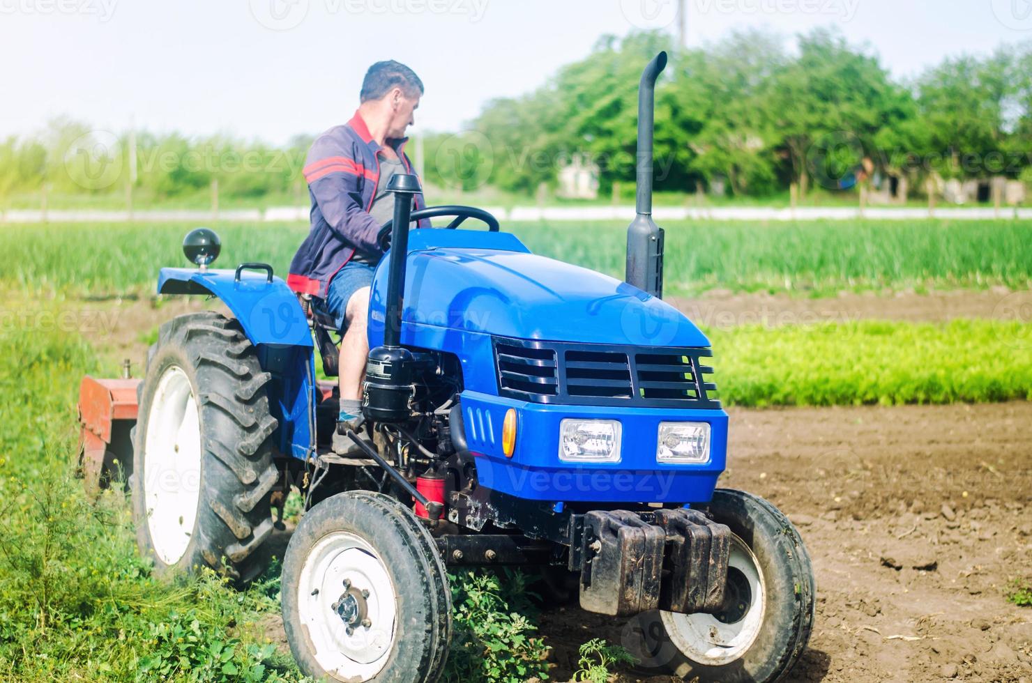 Ein Bauer fährt einen Traktor, während er auf einem Feld arbeitet. Lockerung der Oberfläche, Kultivierung des Landes. landwirtschaft, landwirtschaft. Einsatz landwirtschaftlicher Maschinen und Geräte zur Arbeitserleichterung und -beschleunigung. foto