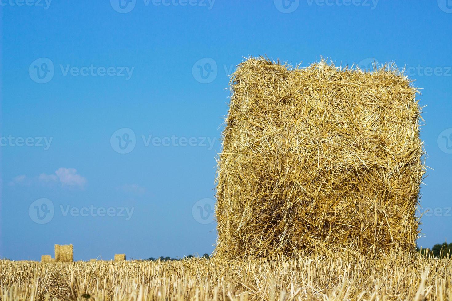 Rollen Heuhaufen auf dem Feld. Sommerbauernhoflandschaft mit Heuhaufen auf dem Hintergrund eines wunderschönen Sonnenuntergangs. landwirtschaftskonzept. erntekonzept foto