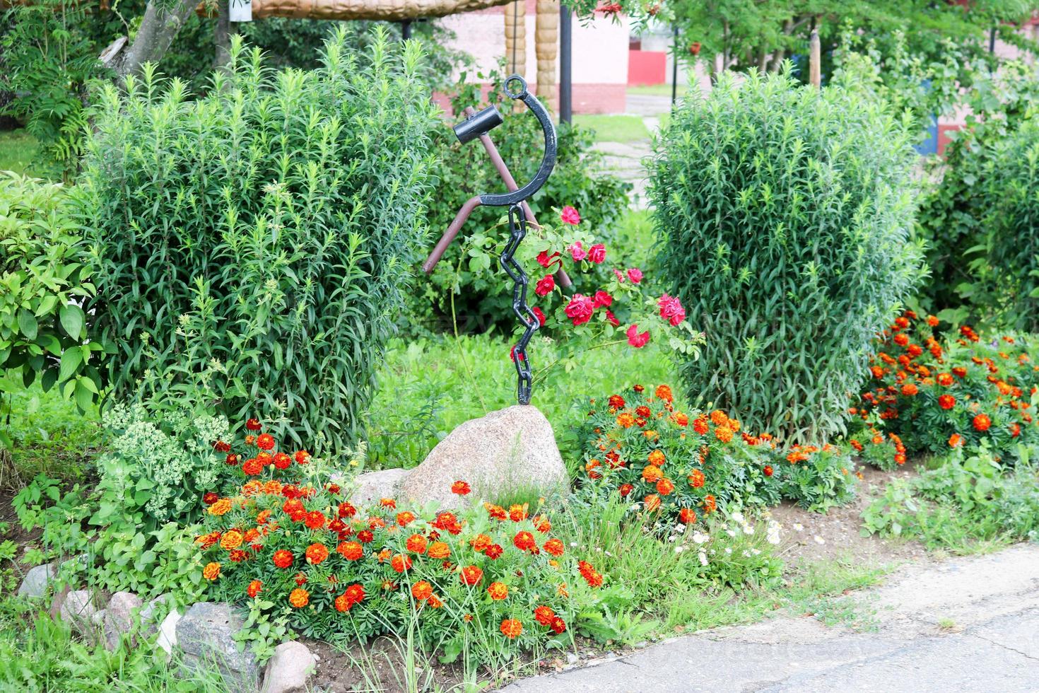 hausgemachtes blumenbeet mit schönem cet und pflanzen, grün und grünem gras foto