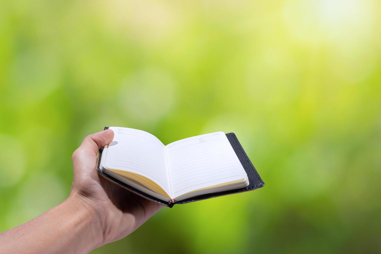 Hand, die Tagebuch auf grünem Bokehhintergrund hält foto