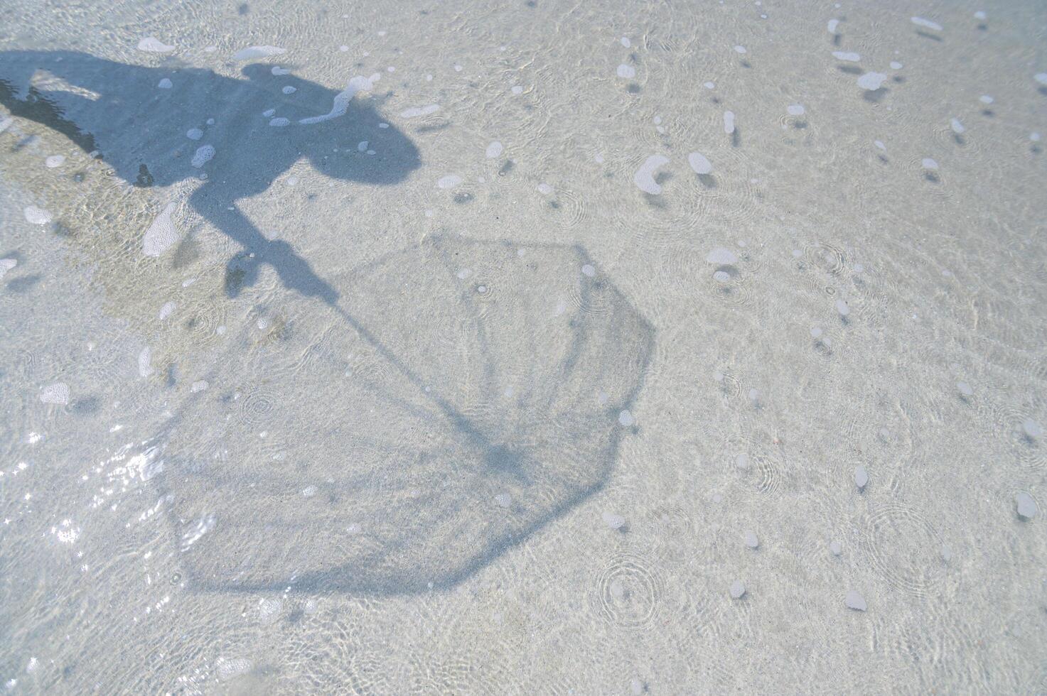 Schatten im klaren Wasser an der Küste foto