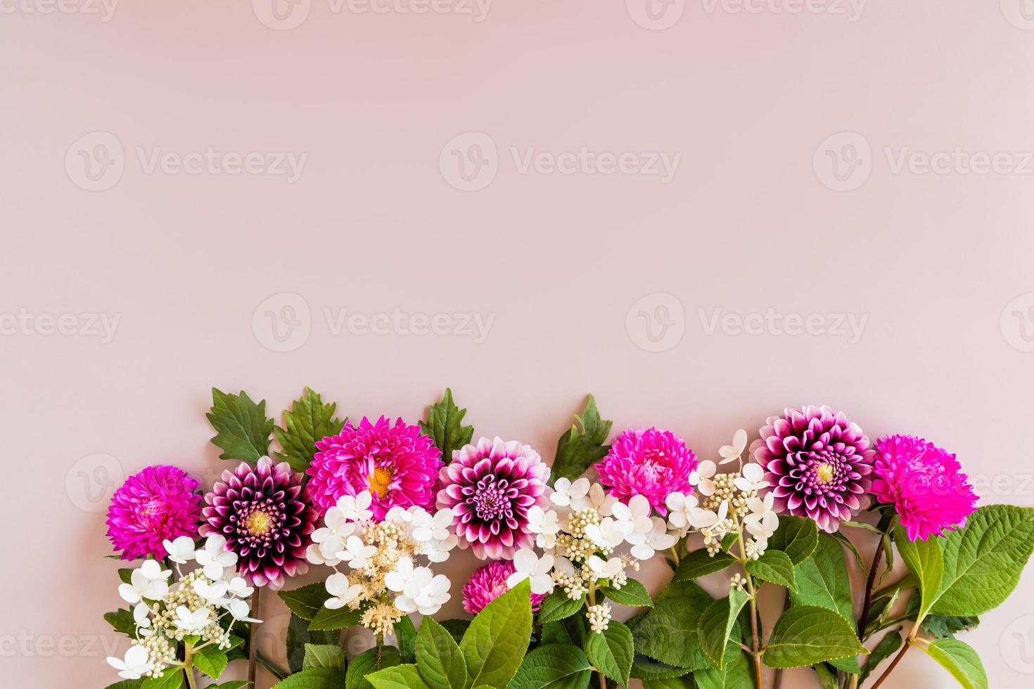 Herbstblumenarrangement. Grenze von Astern, Dahlien und Hortensien. Ansicht von oben. beiger Hintergrund. Platz für Text. foto