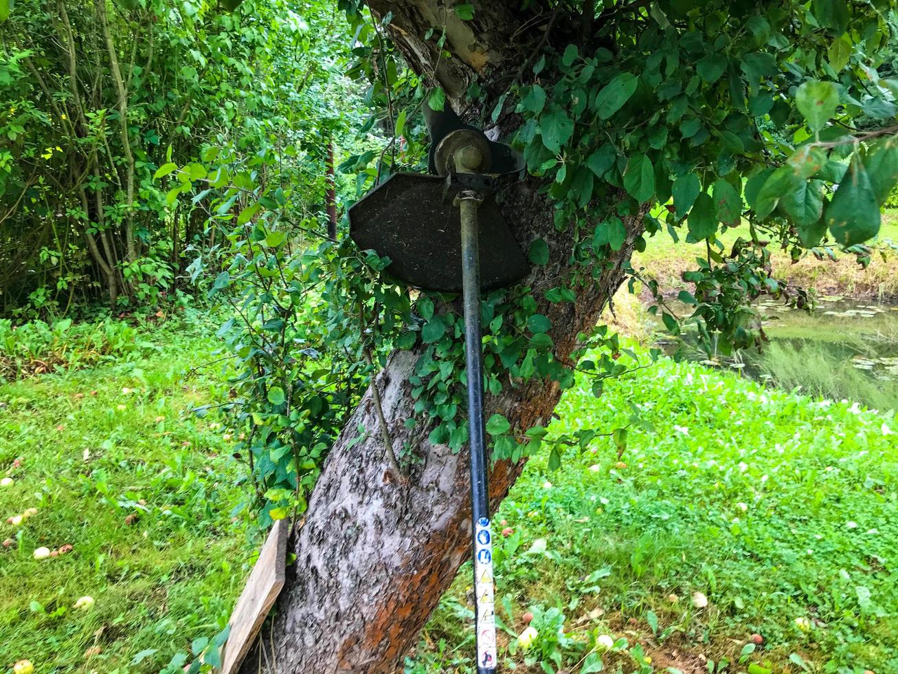 Ein Rasenmäher steht neben einem Baum. Eine Rasenmähmaschine steht neben einem Apfelbaum und wartet auf den Gärtner. Schaffung eines glatten Rasens. Heimwerker foto