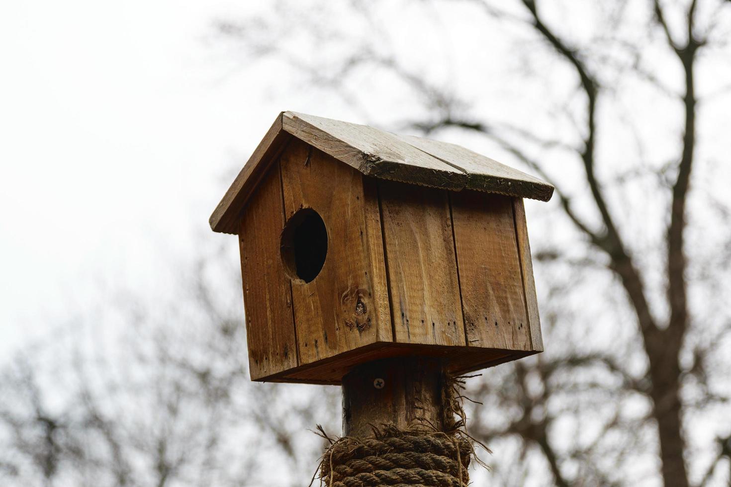 hölzernes Vogelnest foto