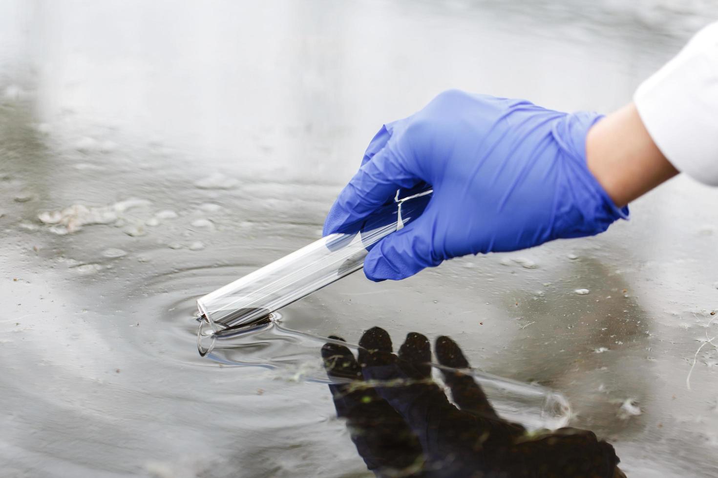 Sammeln einer Wasserprobe foto