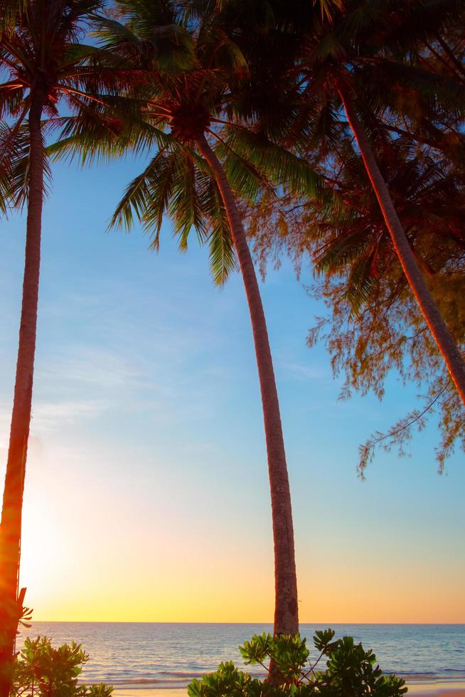 schöner sonnenuntergang über dem meer mit palme am tropischen strand und blauer himmel für reisen in der urlaubsentspannungszeit, fotostil vintage foto