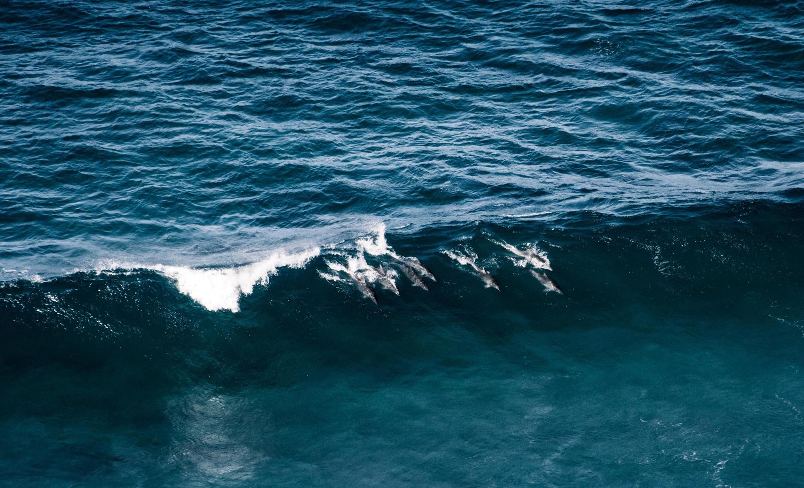 Ozeanwelle im tiefblauen Wasser foto