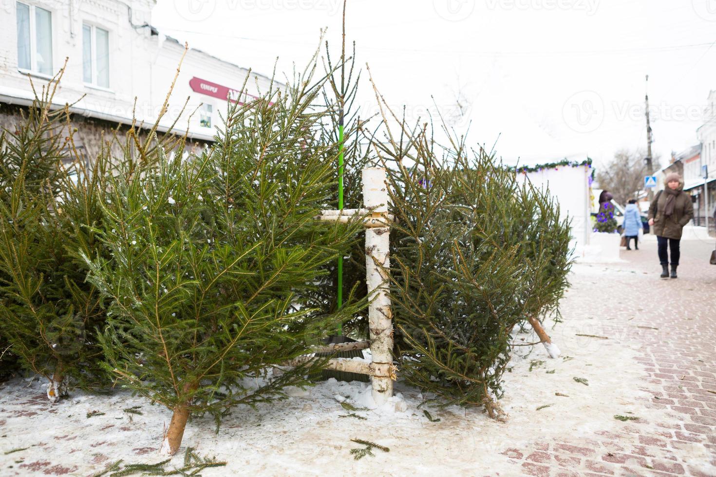 weihnachtsmarkt mit lebenden weihnachtsbäumen auf der straße der stadt. Silvesterstimmung, Schnee, geschnittene Tannen und Nadelbäume werden verkauft, der Duft von Harz und Tannennadeln. Kaluga, Russland, 29. Dezember 2020 foto
