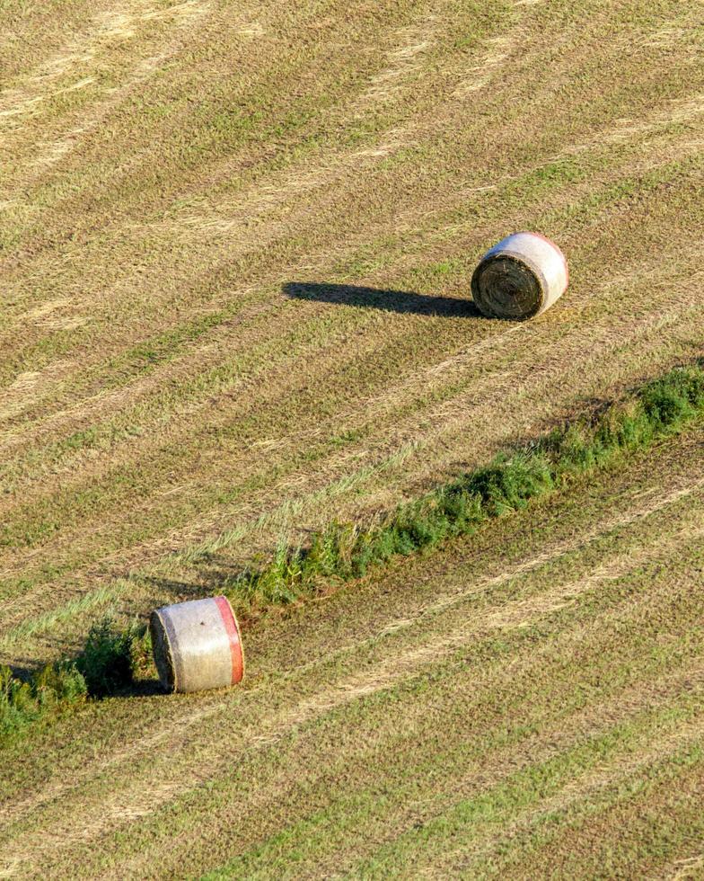 Heuballen auf einem Feld foto