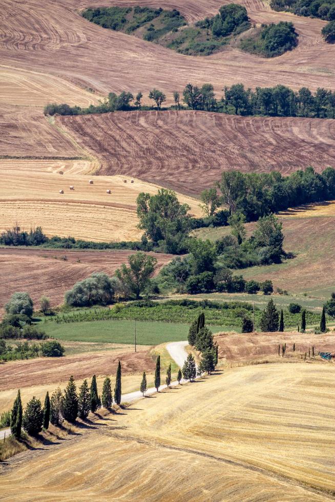 Blick auf eine hügelige Landschaft in Italien foto