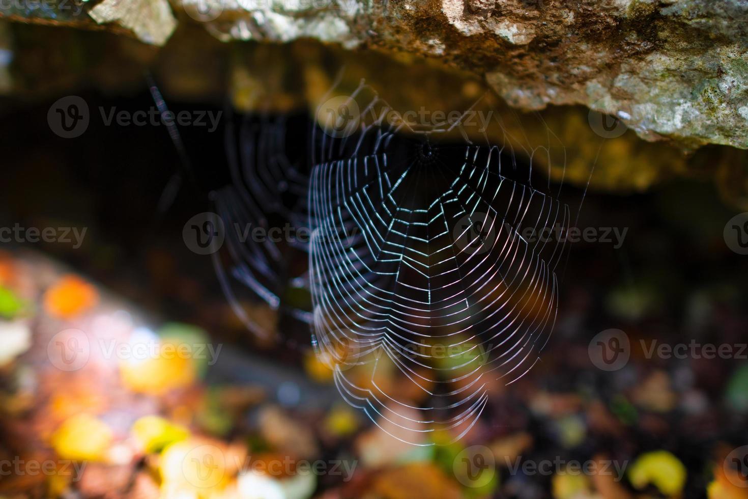 Spinnennetz vor einer Höhle im Felsen foto