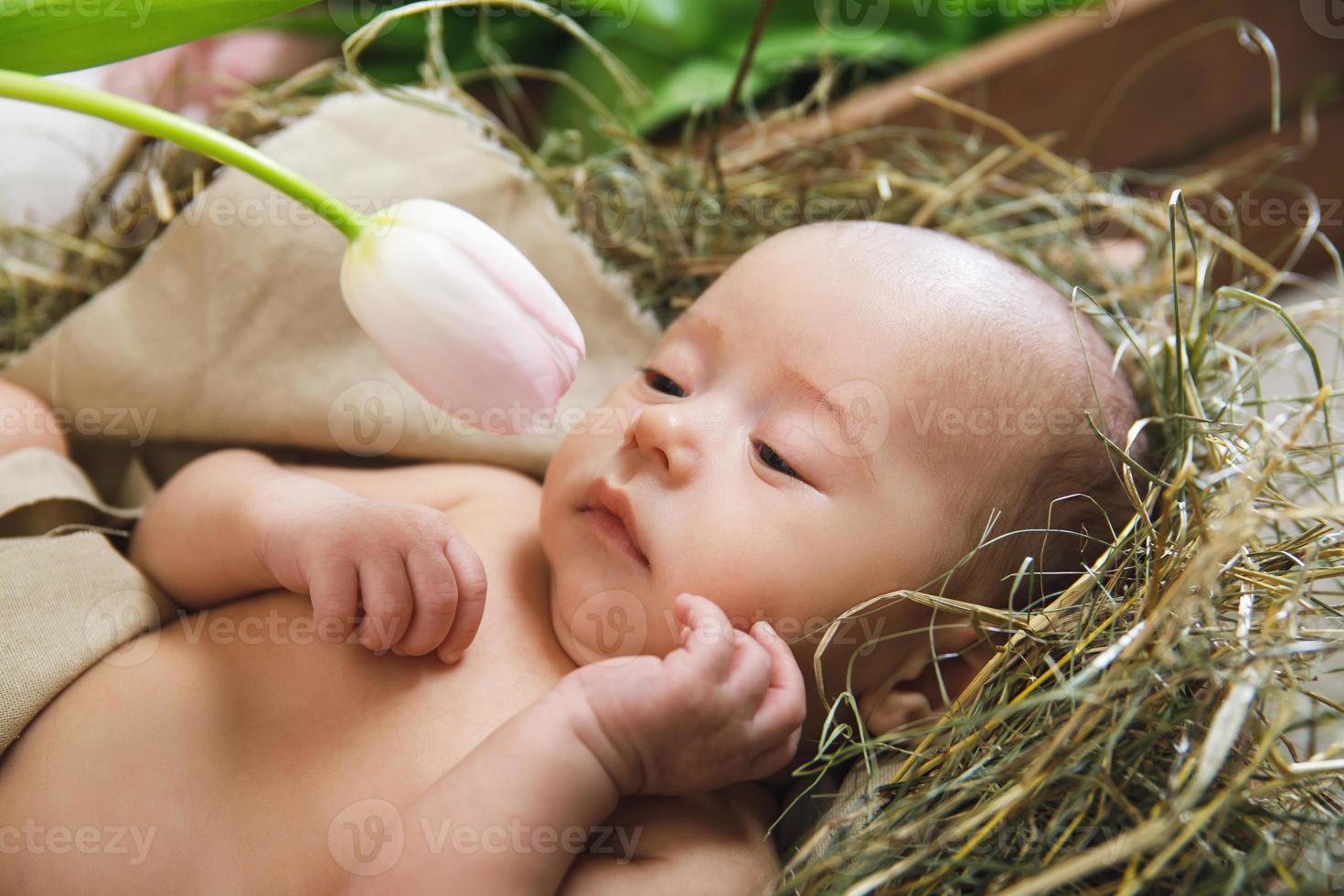 süßes kleines baby liegt in der holzkiste mit tulpenblume foto