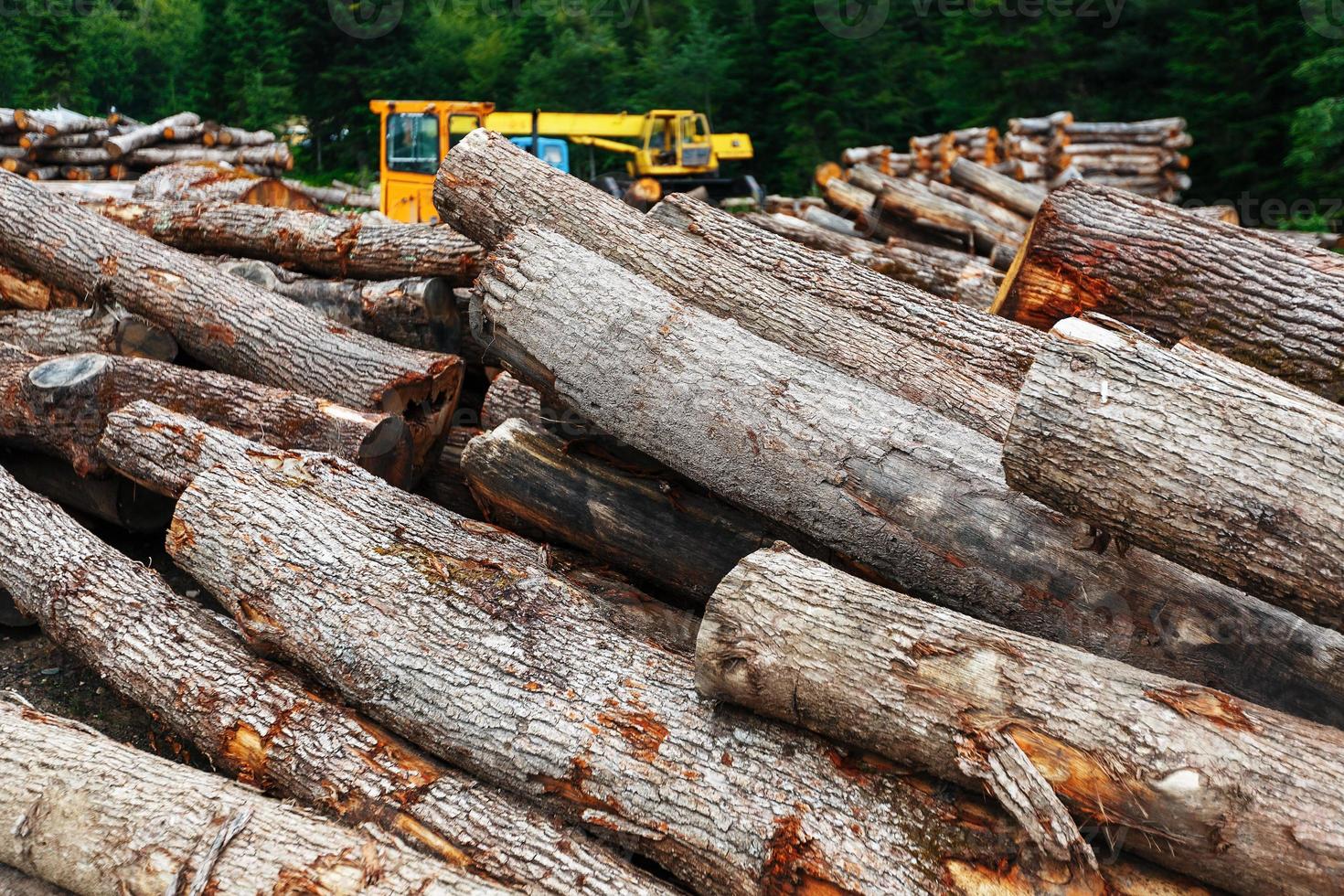 ein Haufen geschnittener Baumstämme im Wald. Protokollierung in der Nähe eines Sägewerks in einer ländlichen Gegend mit umgestürztem Holz foto