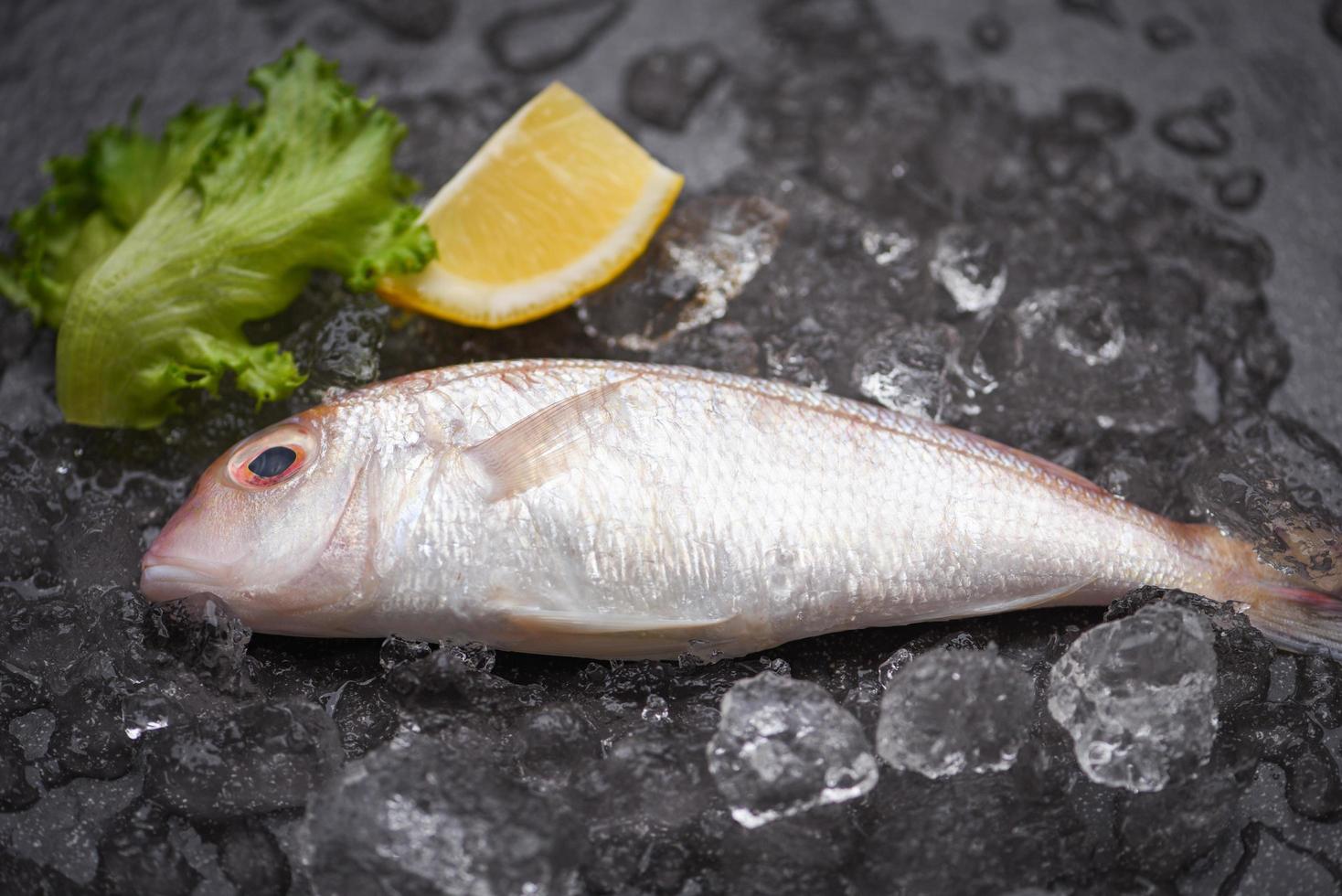 frischer roher Fisch mit Zutaten Zitrone Rosmarin und Salat für die Zubereitung von gekochtem Essen auf Eis auf dem Markt Dorade Meeresfrüchte Fisch gefroren foto