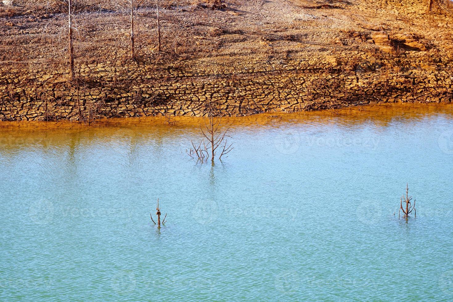 niedrige Wasserspeicher. trockenes Klima. Wasserknappheit. tote Bäume. Klimawandel und Erderwärmung. es gibt keinen planeten b. dringende Maßnahmen zur Rettung der Welt. Umgebung. foto