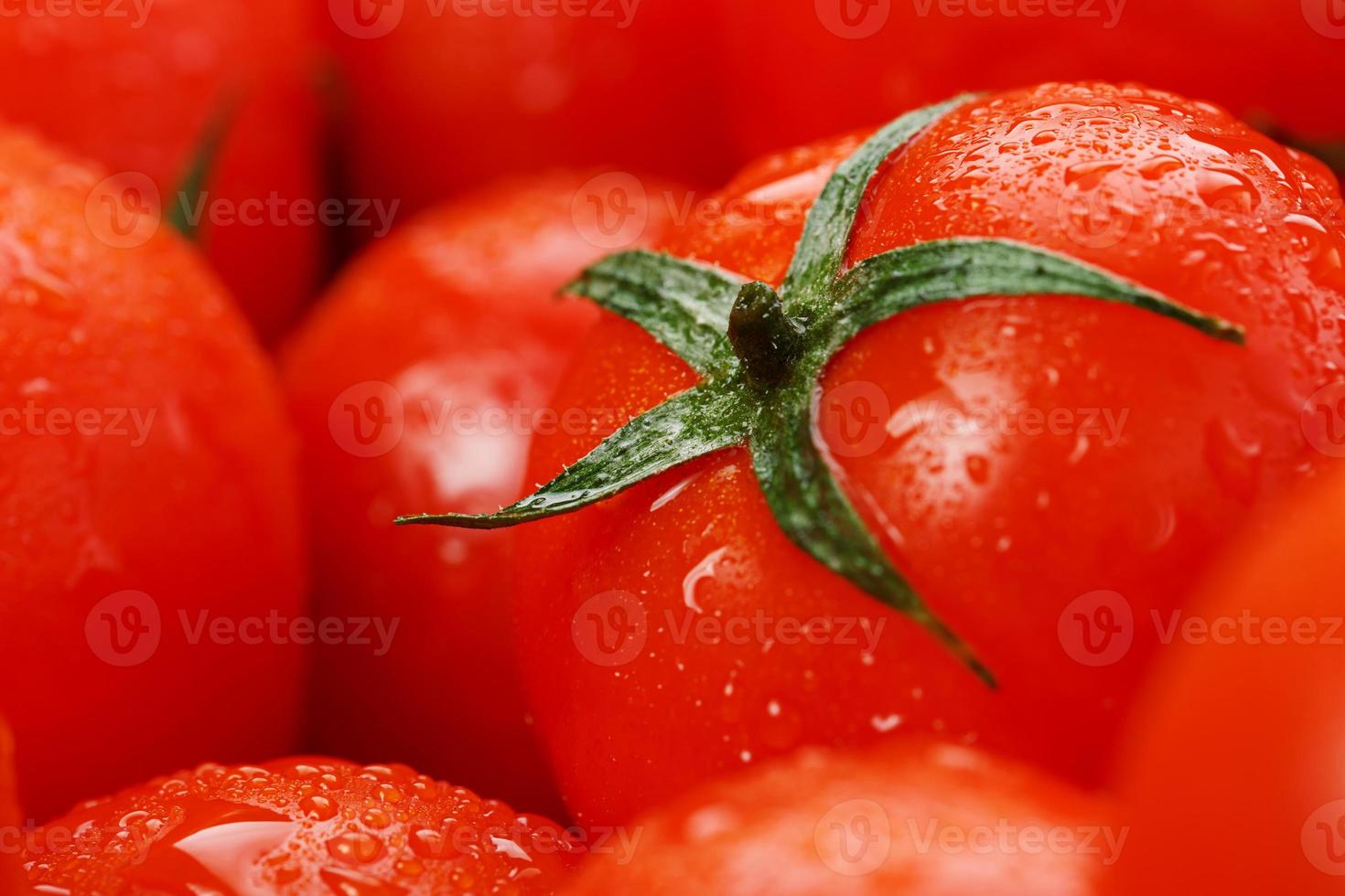 viele frische reife Tomaten mit Tautropfen. Nahaufnahmehintergrund mit Textur von roten Herzen mit grünen Endstücken. frische Kirschtomaten mit grünen Blättern. Hintergrund rote Tomaten foto