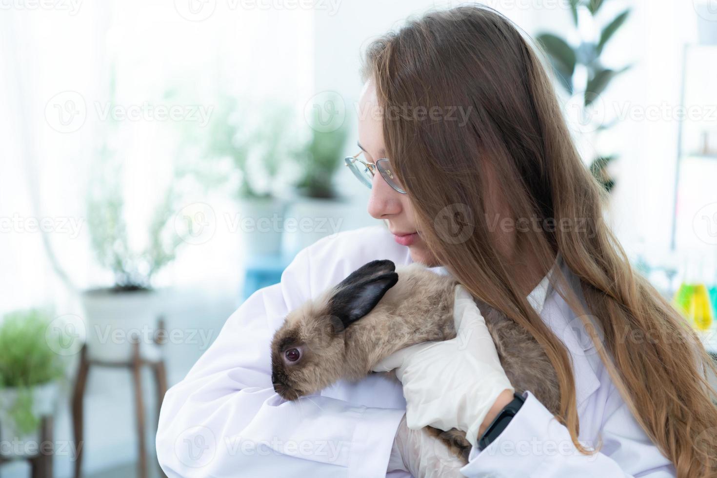 tierarzt behandelt kranke kaninchen er schenkt den jungen hasen die aufmerksamkeit, die sie brauchen, damit es ihnen gut geht foto