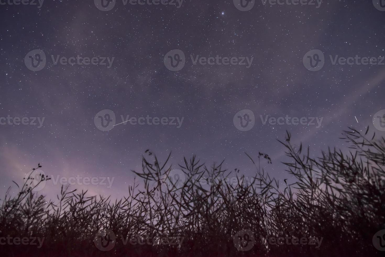 faszinierende milchstraße mit einem feld im vordergrund. Landschaft in einer warmen Sommernacht foto