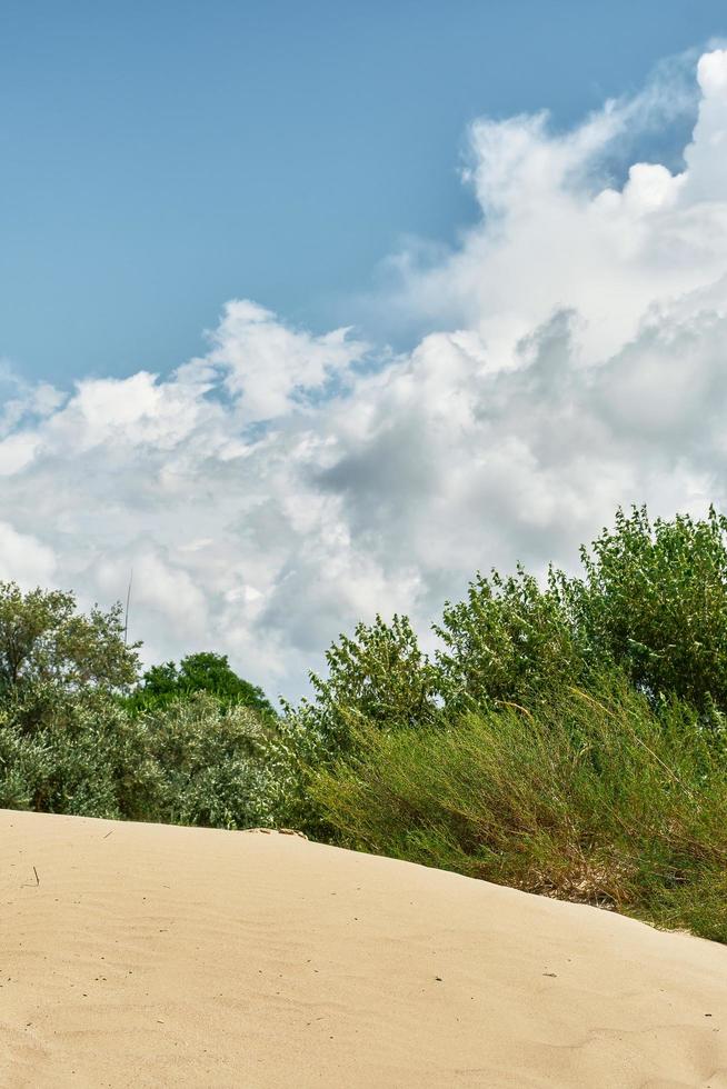 Büsche an einem Sandstrand und ein blauer Himmel mit Kumuluswolken, vertikaler Rahmen, Sommerwochenende, Hintergrund für einen Bildschirmschoner oder Hintergrundbild für einen Bildschirm oder Werbung, freier Platz für Text foto