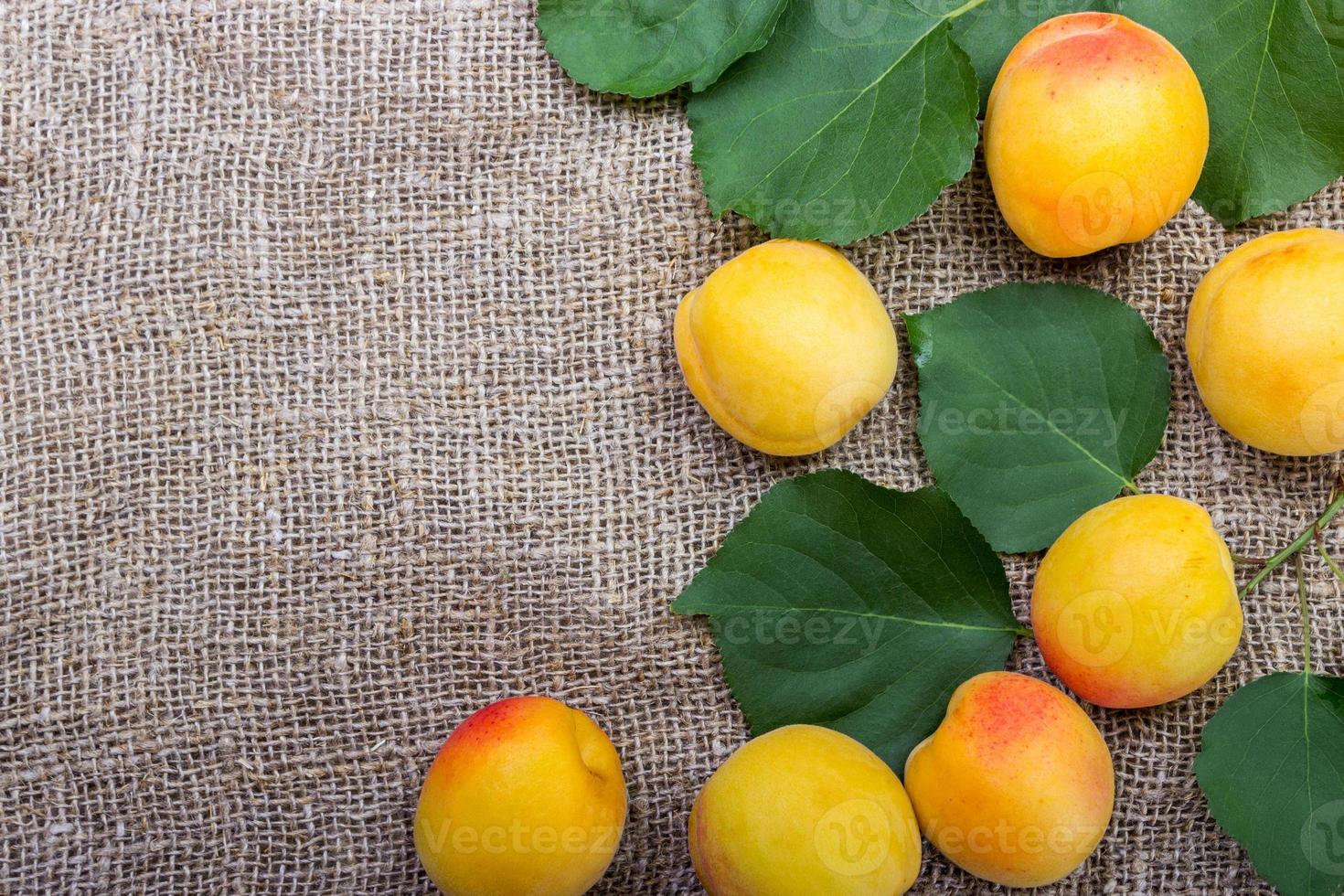 Bio-Aprikosen mit Blättern auf Sackleinenhintergrund foto