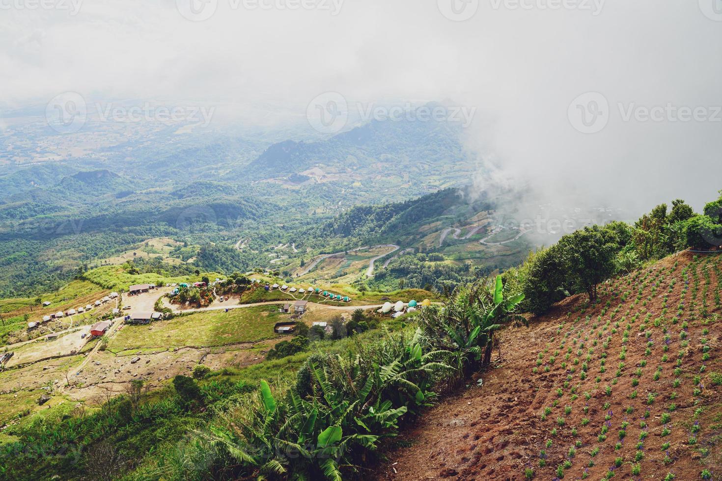 hohe ansicht vom phu thap boek berg phetchabun provinz, thailand. kaltes Wetter, hohe Berge und dichter Nebel. foto