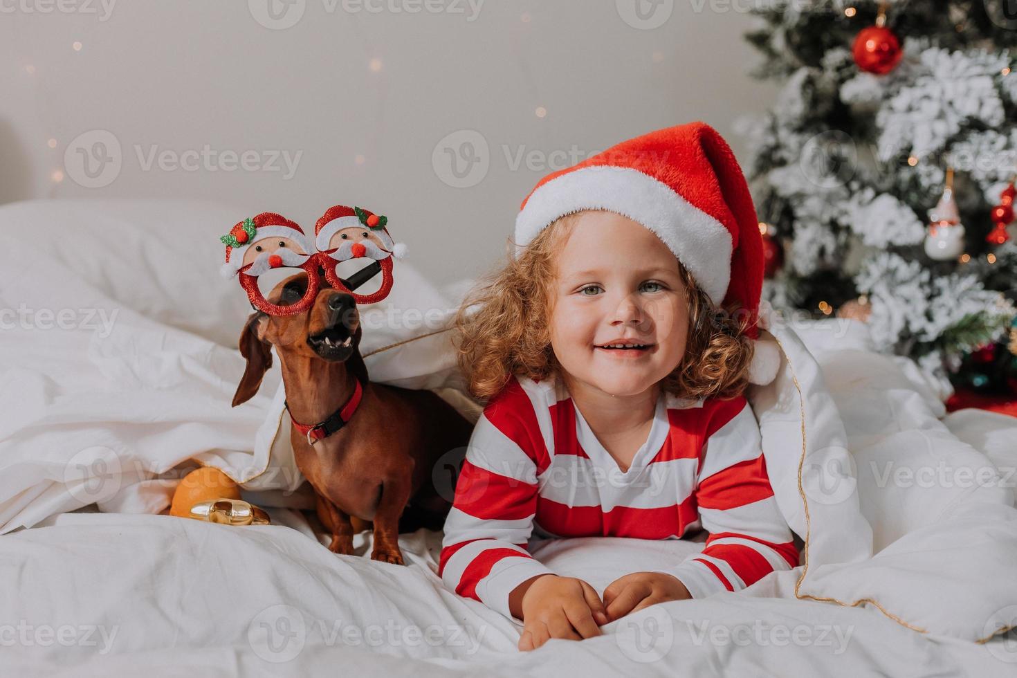 Kleines Mädchen in gestreiftem Pyjama und Weihnachtsmütze und Hund in lustigen Gläsern mit Weihnachtsmann liegen im Bett auf einem weißen Laken vor dem Hintergrund des Weihnachtsbaums. Platz für Text. hochwertiges Foto