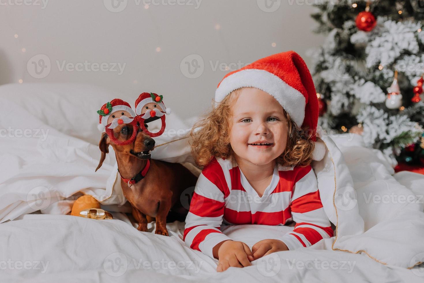 Kleines Mädchen in gestreiftem Pyjama und Weihnachtsmütze und Hund in lustigen Gläsern mit Weihnachtsmann liegen im Bett auf einem weißen Laken vor dem Hintergrund des Weihnachtsbaums. Platz für Text. hochwertiges Foto