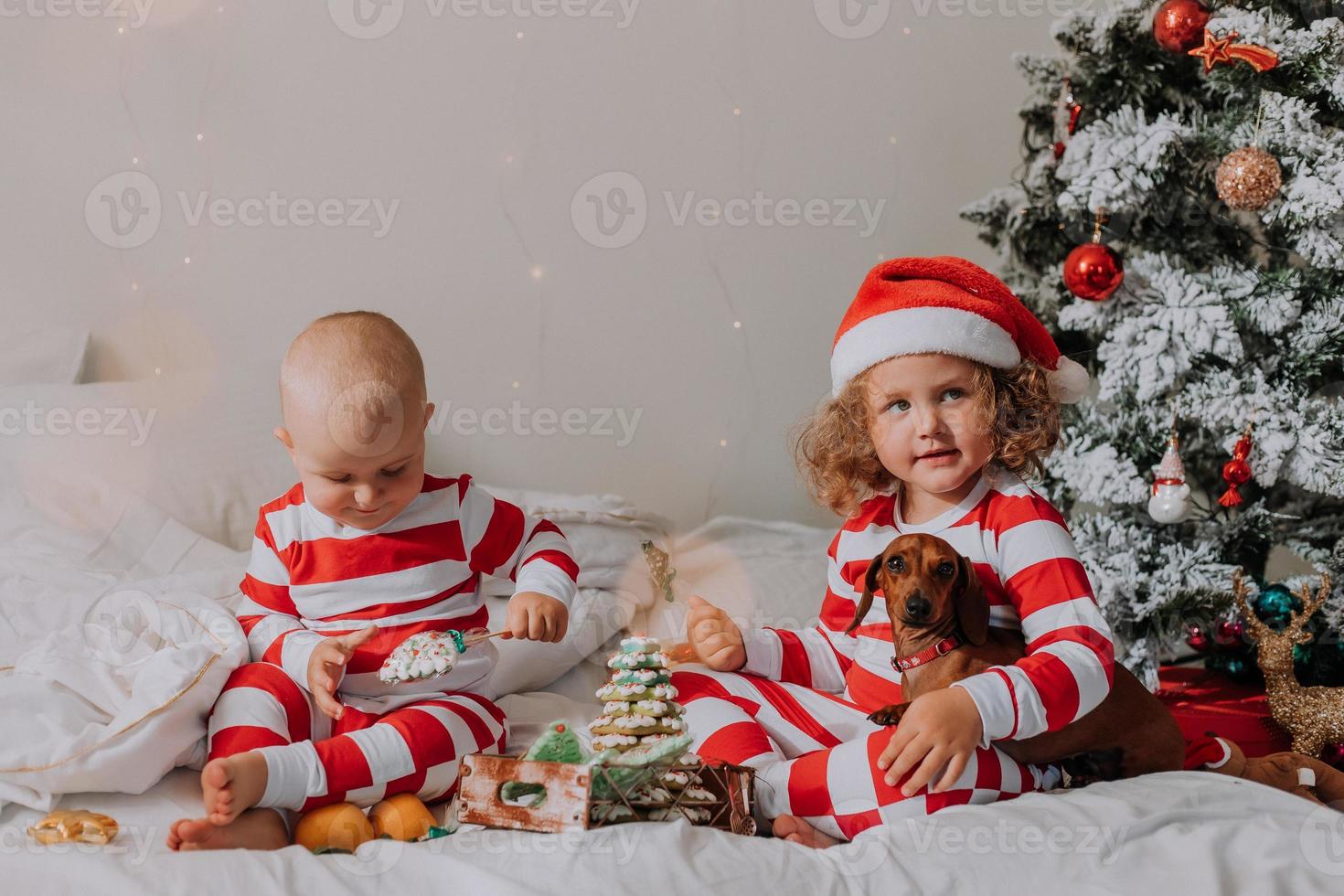 kinder in rot-weißen pyjamas sitzen im bett und teilen weihnachtssüßigkeiten miteinander und mit ihrem hund. bruder und schwester, junge und mädchen feiern das neue jahr. Platz für Text. hochwertiges Foto