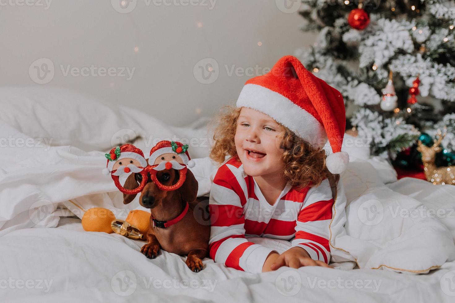 Kleines Mädchen in gestreiftem Pyjama und Weihnachtsmütze und Hund in lustigen Gläsern mit Weihnachtsmann liegen im Bett auf einem weißen Laken vor dem Hintergrund des Weihnachtsbaums. Platz für Text. hochwertiges Foto