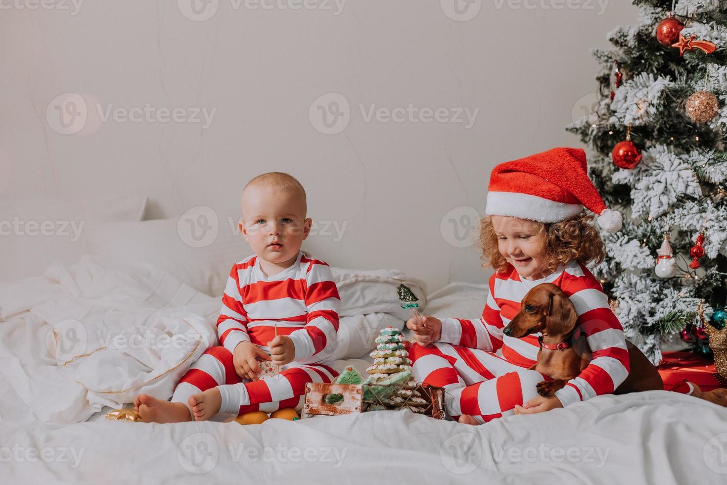kinder in rot-weißen pyjamas sitzen im bett und teilen weihnachtssüßigkeiten miteinander und mit ihrem hund. bruder und schwester, junge und mädchen feiern das neue jahr. Platz für Text. hochwertiges Foto