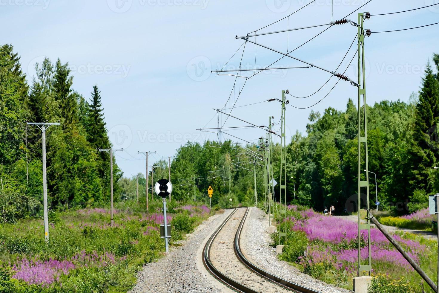 Landschaft in Schweden, Europa foto