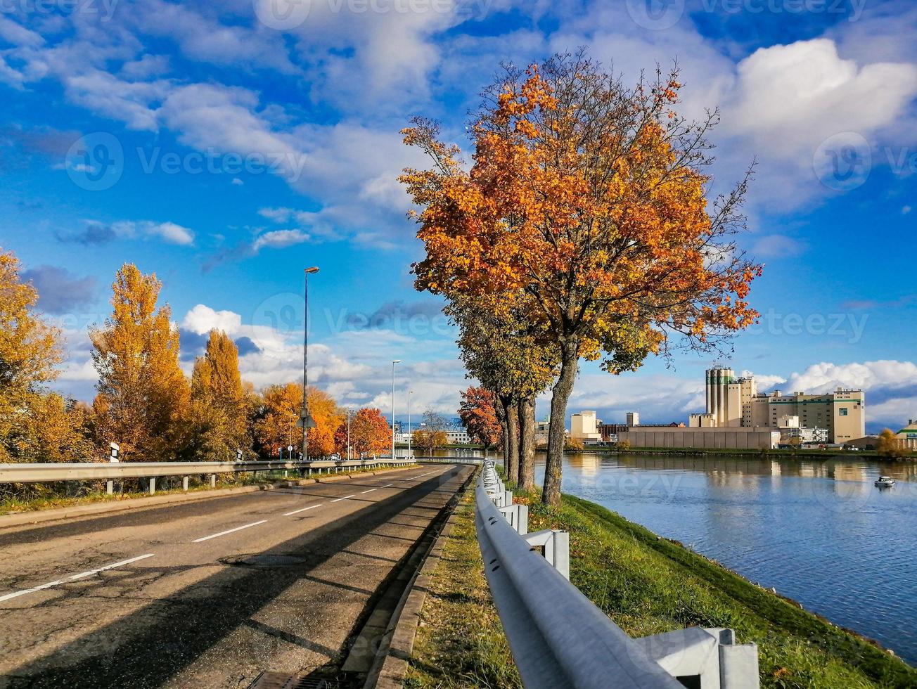 Herbstfarben sind hell und saftig. Stadtrand von Straßburg, Rhein. foto