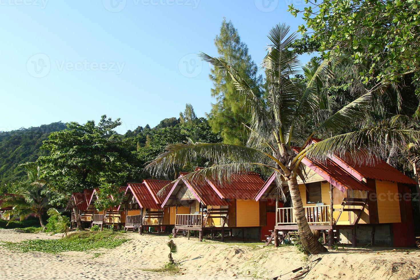 Blick auf die Holzhäuser in der Nähe des Meeres zwischen Palmen vor dem Hintergrund des Regenwaldes. Koh Chang, Thailand. foto