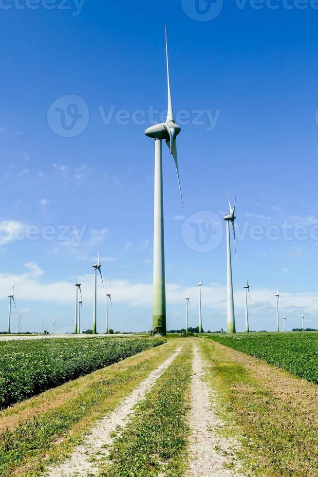 Landschaft in Schweden, Europa foto