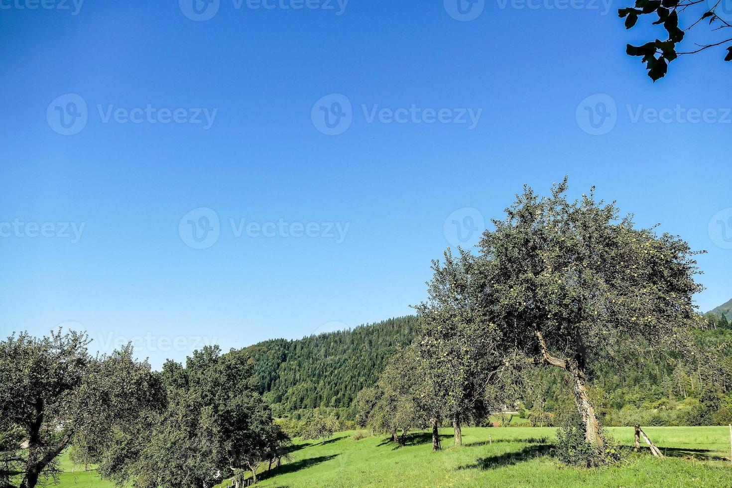 Landschaft in Slowenien, Europa foto